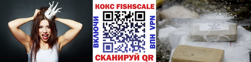 дарнет шоп  Называевск  Кокаин FishScale 