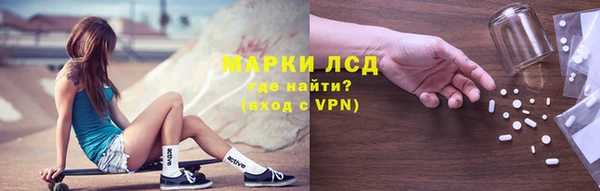 крисы Коряжма