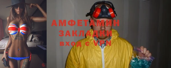 крисы Коряжма
