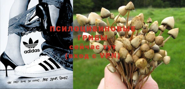 твердый Корсаков