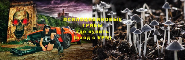 прущий лед Костерёво