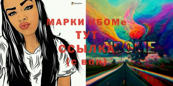 крисы Коряжма