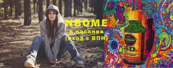 твердый Корсаков